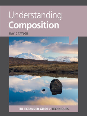 cover image of Understanding Composition